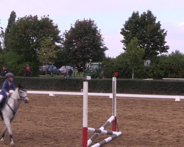 Reitturnier Westeregeln 2021