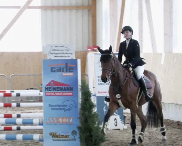 Reitturnier Worms-Pfeddersheim / Reitsportanlage Wittemer 2023