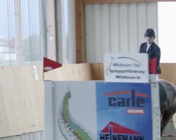 Reitturnier Worms-Pfeddersheim / Reitsportanlage Wittemer 2023