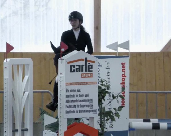 Reitturnier Worms-Pfeddersheim / Reitsportanlage Wittemer 2023
