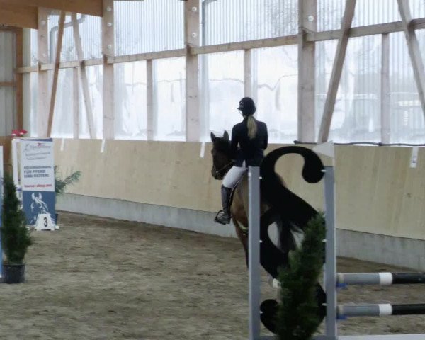 Reitturnier Worms-Pfeddersheim / Reitsportanlage Wittemer 2023