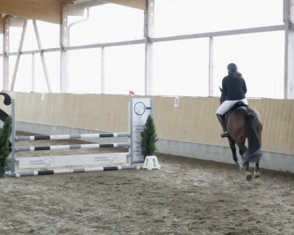 Reitturnier Worms-Pfeddersheim / Reitsportanlage Wittemer 2023