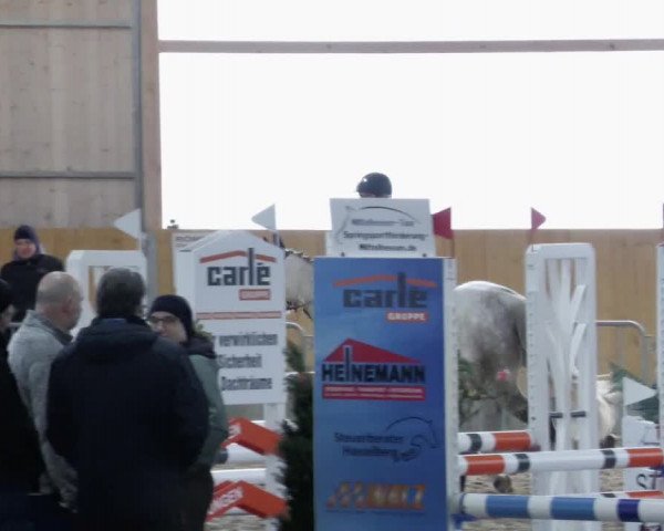 Reitturnier Worms-Pfeddersheim / Reitsportanlage Wittemer 2023