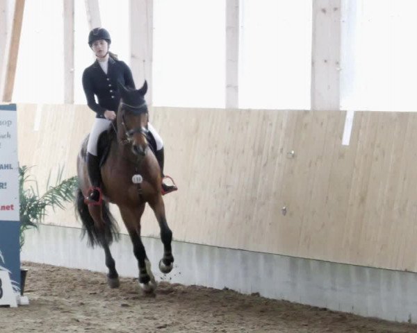 Reitturnier Worms-Pfeddersheim / Reitsportanlage Wittemer 2023