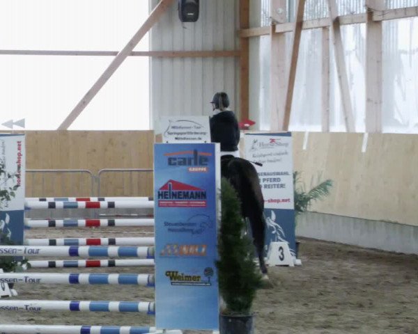 Reitturnier Worms-Pfeddersheim / Reitsportanlage Wittemer 2023