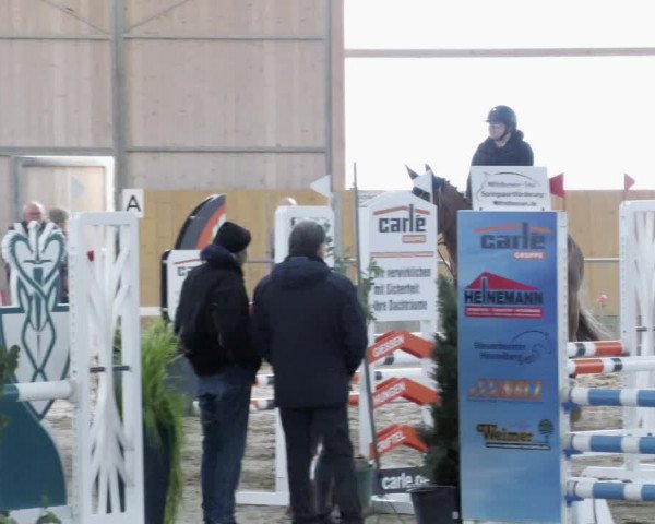 Reitturnier Worms-Pfeddersheim / Reitsportanlage Wittemer 2023