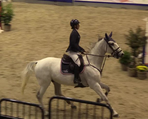 FEI Reitturnier Neumünster (GER) 2021