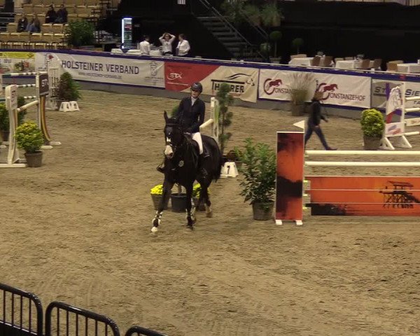 FEI Reitturnier Neumünster (GER) 2021