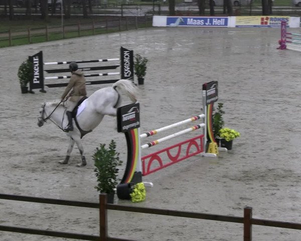 Reitturnier Westergellersen 2023
