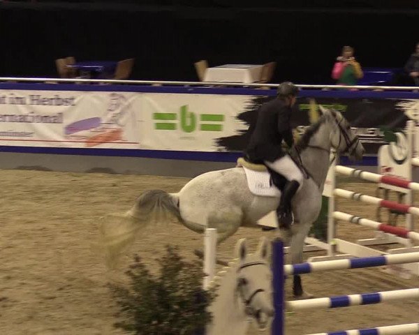 FEI Reitturnier Neumünster (GER) 2021