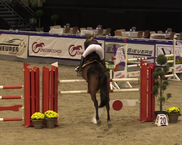 FEI Reitturnier Neumünster (GER) 2021