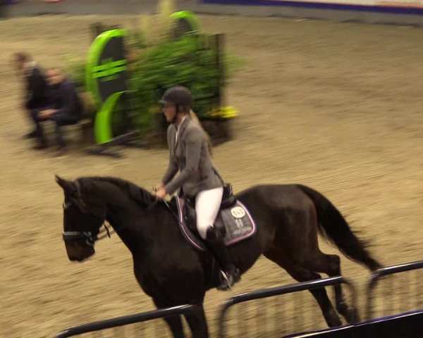 FEI Reitturnier Neumünster (GER) 2021