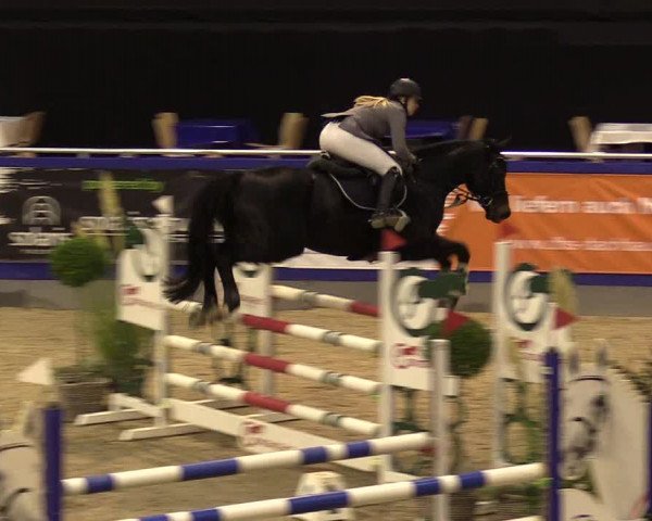 FEI Reitturnier Neumünster (GER) 2021