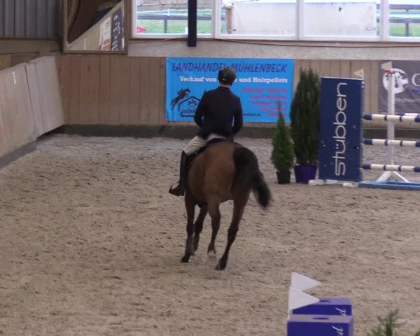 Reitturnier Niebüll 2023