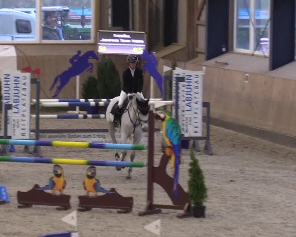 Reitturnier Niebüll 2023