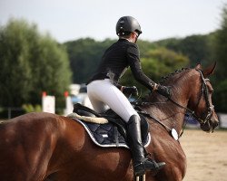 broodmare Ruby Zasou L (Westphalian, 2012, from Zandor Z)