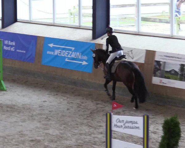 Reitturnier Niebüll 2023