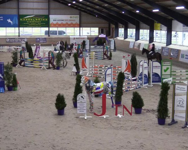 Reitturnier Niebüll 2023