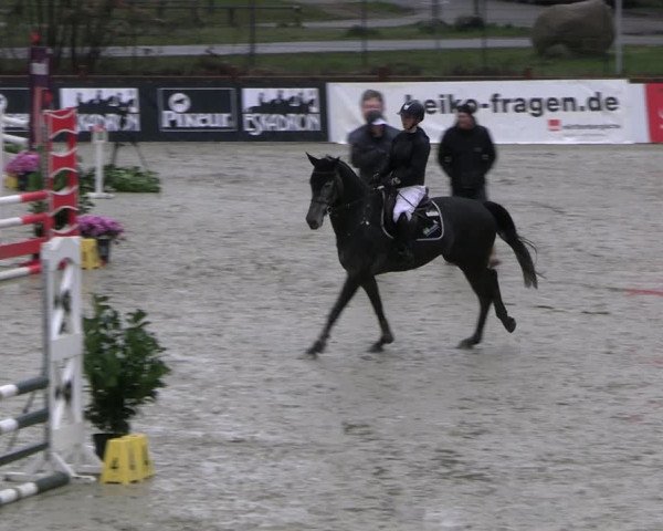 Reitturnier Westergellersen 2023