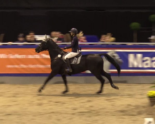 FEI Reitturnier Neumünster (GER) 2021