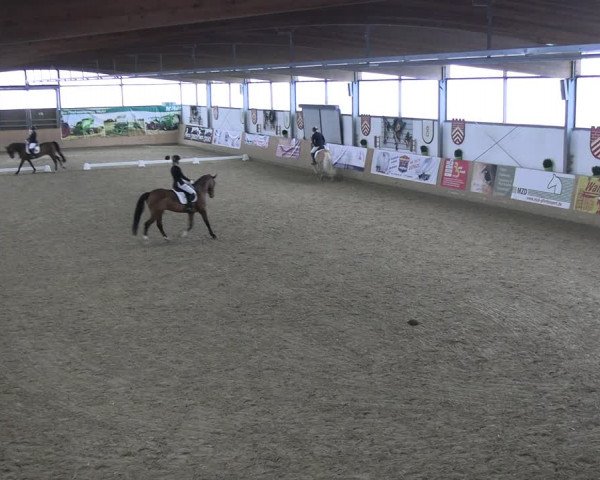 Reitturnier Borgholzhausen-Westbarthausen 2023