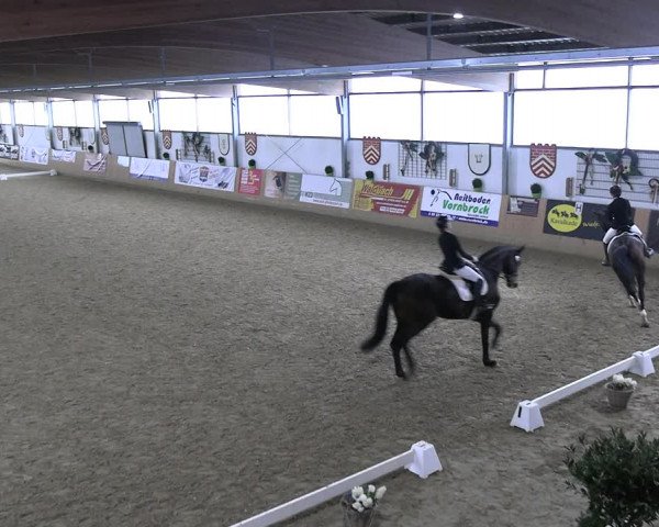 Reitturnier Borgholzhausen-Westbarthausen 2023