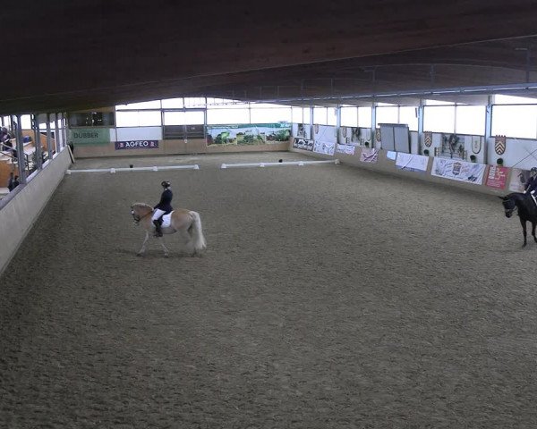 Reitturnier Borgholzhausen-Westbarthausen 2023
