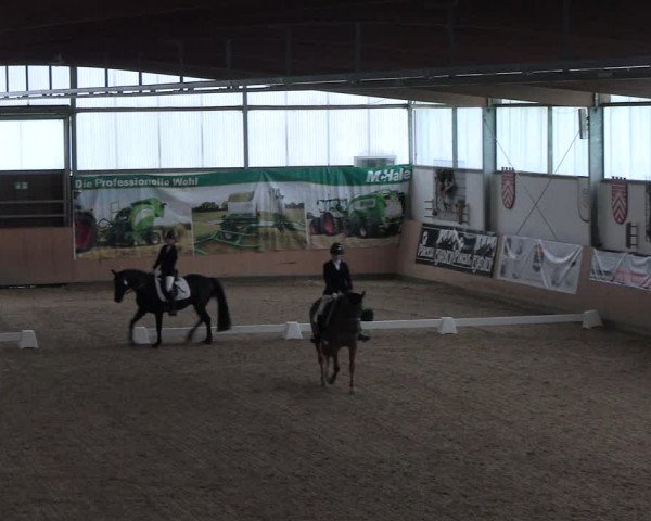 Reitturnier Borgholzhausen-Westbarthausen 2023