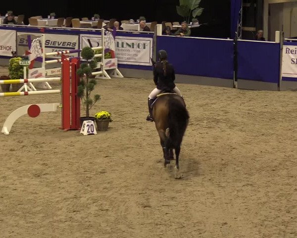 FEI Reitturnier Neumünster (GER) 2021