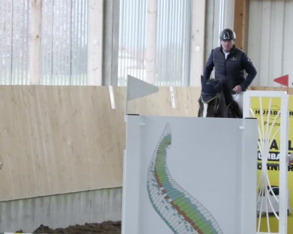 Reitturnier Worms-Pfeddersheim / Reitsportanlage Wittemer 2023