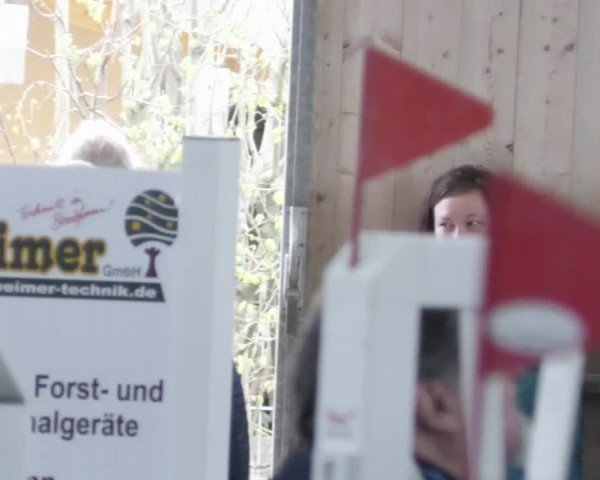 Reitturnier Worms-Pfeddersheim / Reitsportanlage Wittemer 2023