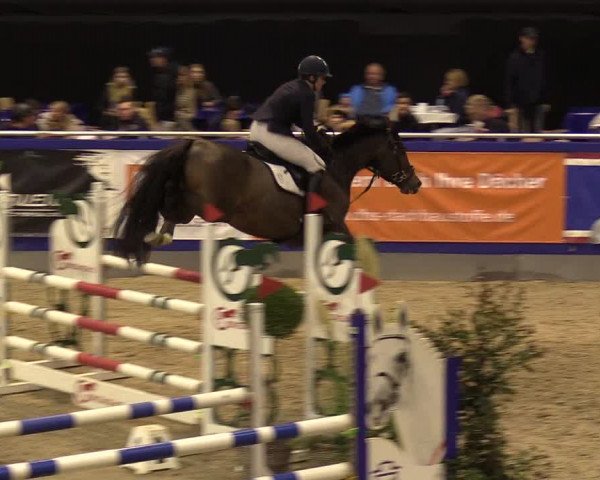 FEI Reitturnier Neumünster (GER) 2021