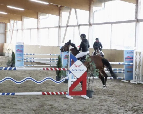 Reitturnier Worms-Pfeddersheim / Reitsportanlage Wittemer 2023
