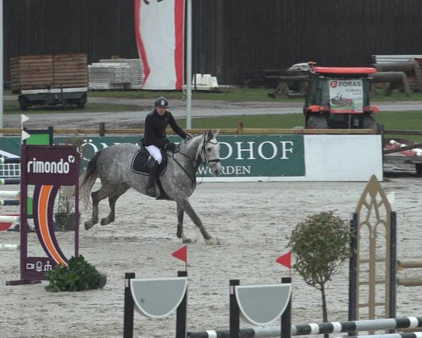 Reitturnier Westergellersen 2023