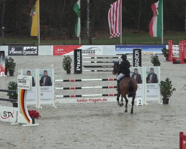 Reitturnier Westergellersen 2023