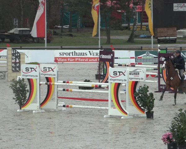 Reitturnier Westergellersen 2023