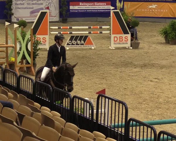 FEI Reitturnier Neumünster (GER) 2021