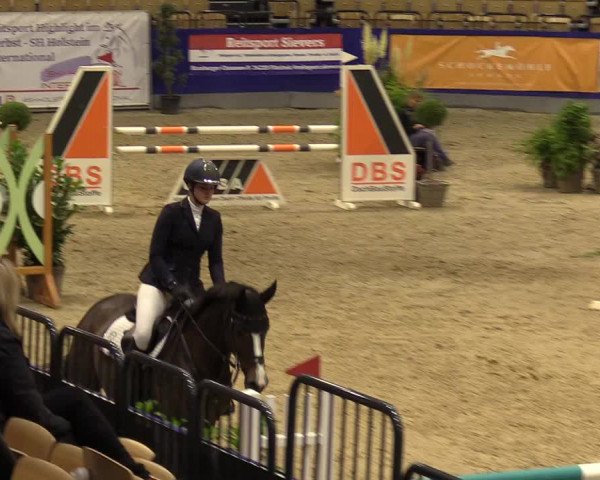 FEI Reitturnier Neumünster (GER) 2021