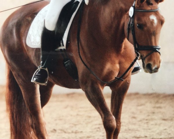 broodmare Finesse K (Rhinelander, 2008, from Fidertanz)
