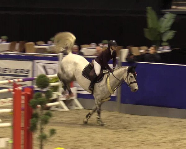 FEI Reitturnier Neumünster (GER) 2021
