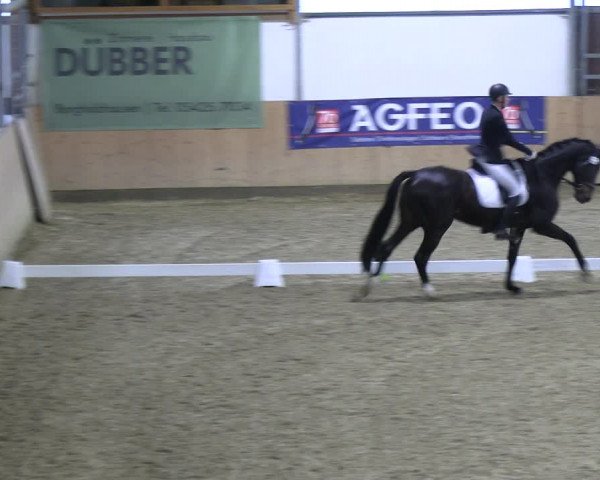 Reitturnier Borgholzhausen-Westbarthausen 2023