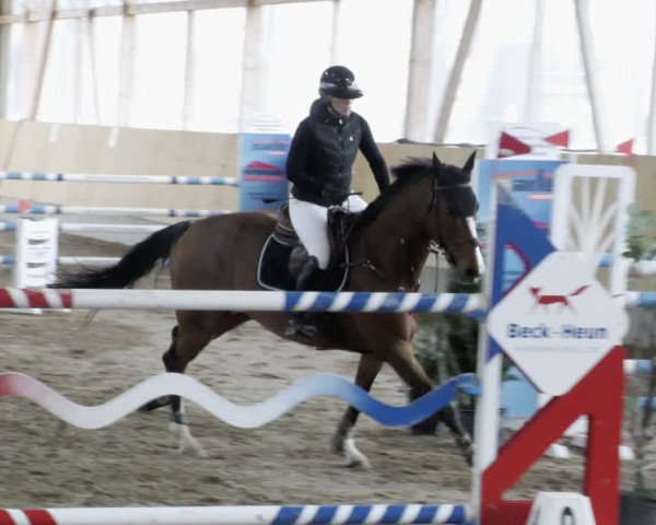 Reitturnier Worms-Pfeddersheim / Reitsportanlage Wittemer 2023