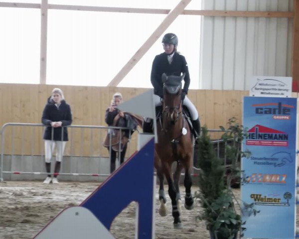 Reitturnier Worms-Pfeddersheim / Reitsportanlage Wittemer 2023