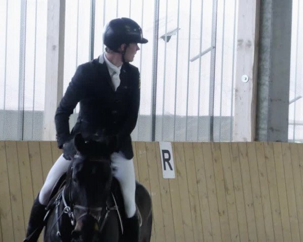 Reitturnier Worms-Pfeddersheim / Reitsportanlage Wittemer 2023