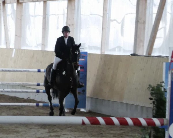 Reitturnier Worms-Pfeddersheim / Reitsportanlage Wittemer 2023