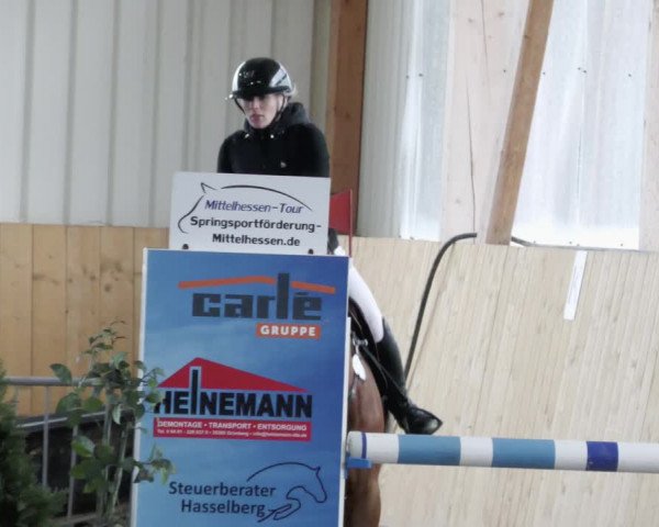 Reitturnier Worms-Pfeddersheim / Reitsportanlage Wittemer 2023