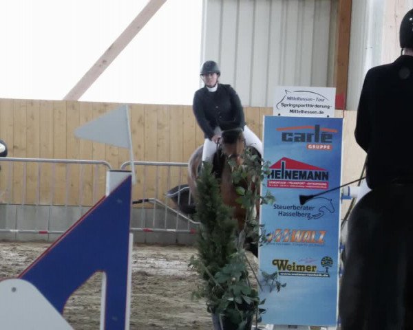 Reitturnier Worms-Pfeddersheim / Reitsportanlage Wittemer 2023
