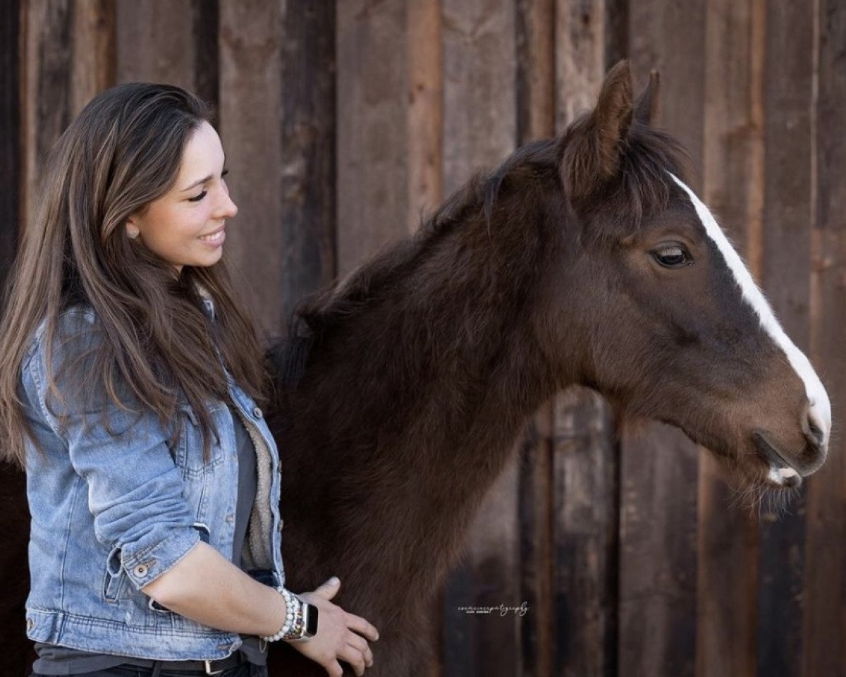 horse GEMs Querido (Bavarian, 2022, from Quabri de l'Isle)