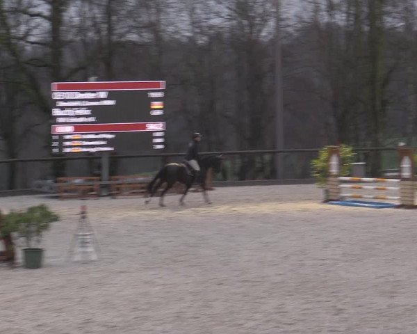 Reitturnier Erkrath - Uhlenhof 2023