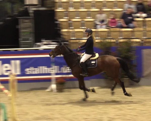 FEI Reitturnier Neumünster (GER) 2021